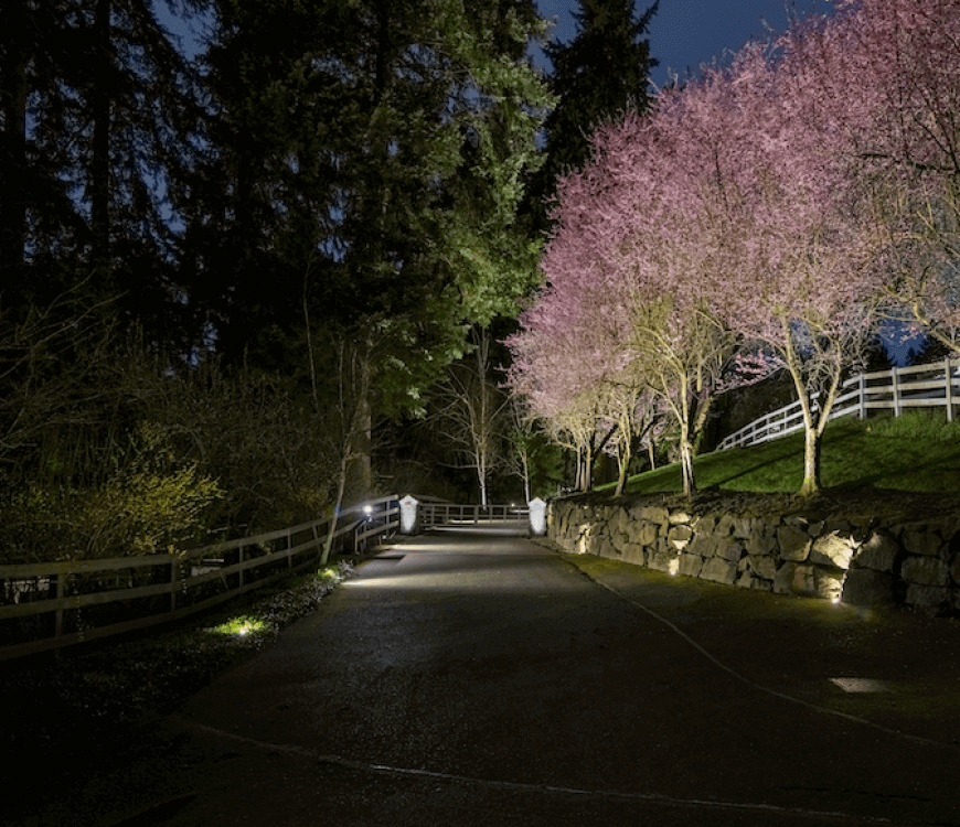A Bellevue, WA driveway at night is illuminated by lights installed by Northwest Outdoor Lighting.