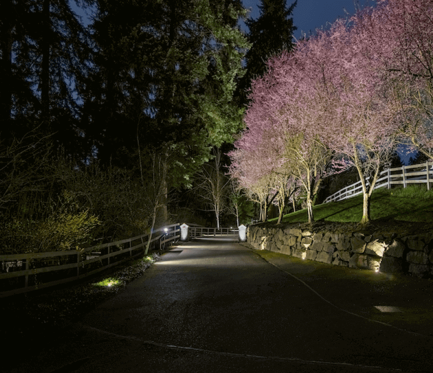 A Bellevue, WA driveway at night is illuminated by lights installed by Northwest Outdoor Lighting.