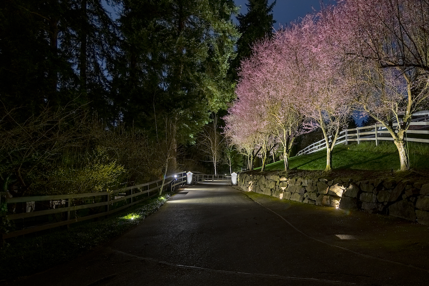 A Bellevue, WA driveway at night is illuminated by lights installed by Northwest Outdoor Lighting.