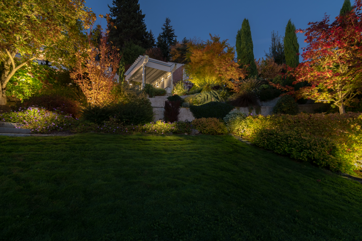 Meydenbauer Bay - Lower level lawn