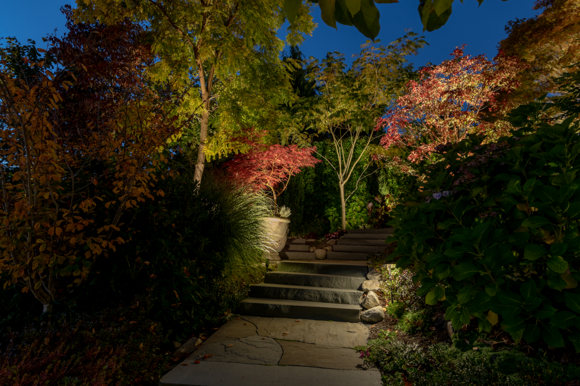 Meydenbauer Bay - Steps