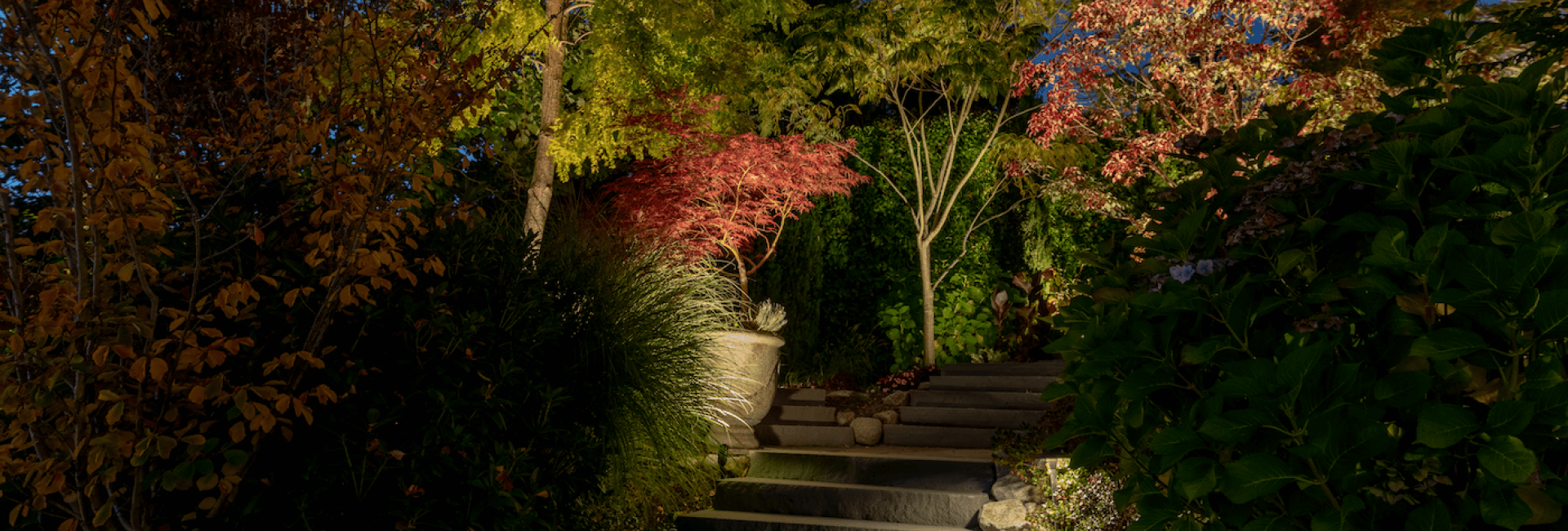 Meydenbauer Bay - Steps