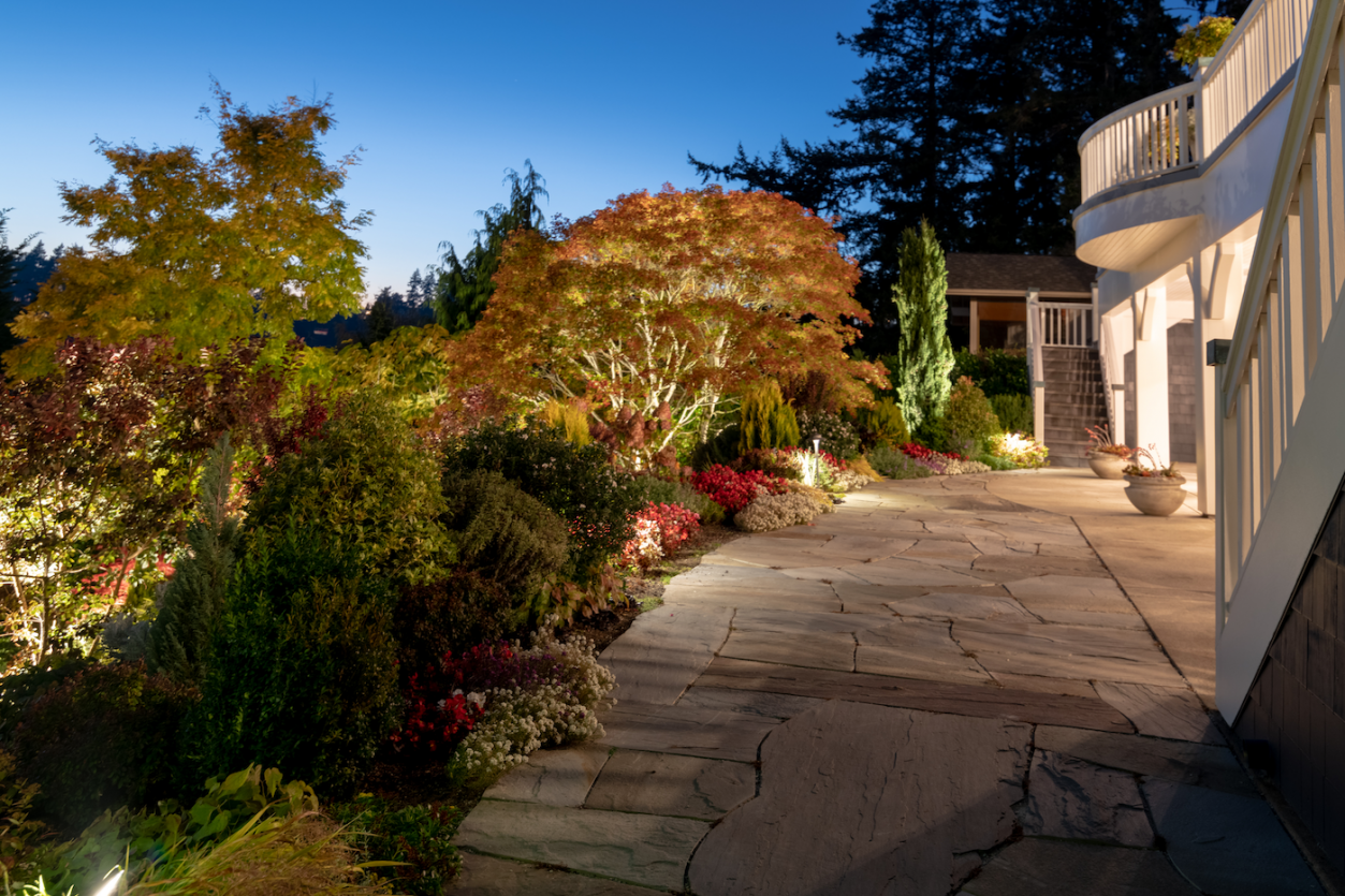 Meydenbauer Bay - Back patio