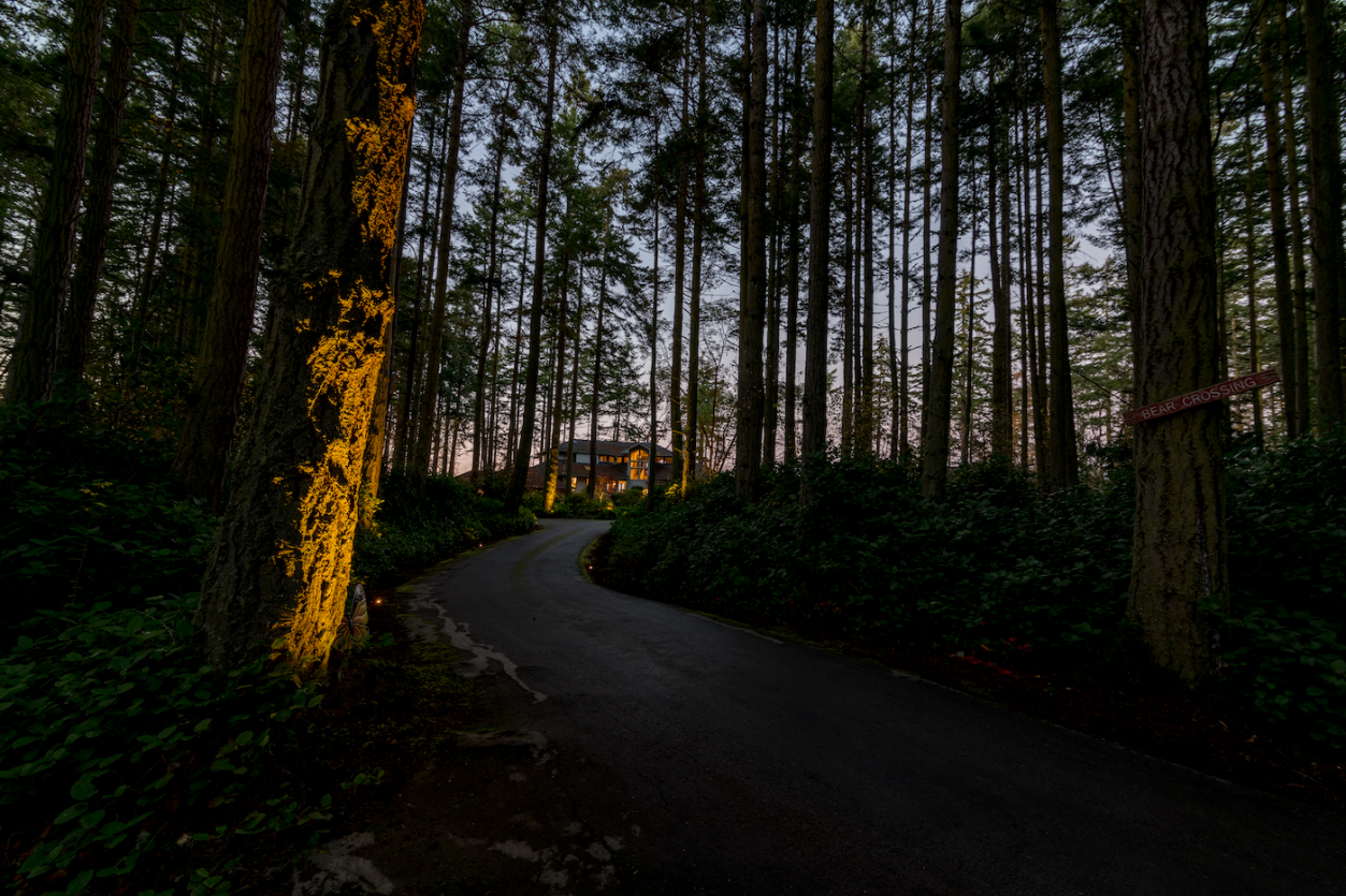 Port Townsend - Driveway 1