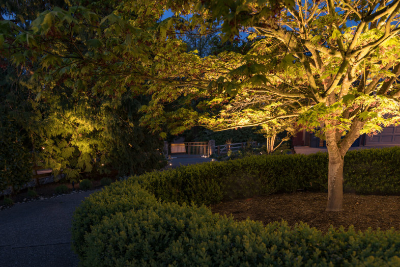 light-consult-video-bg