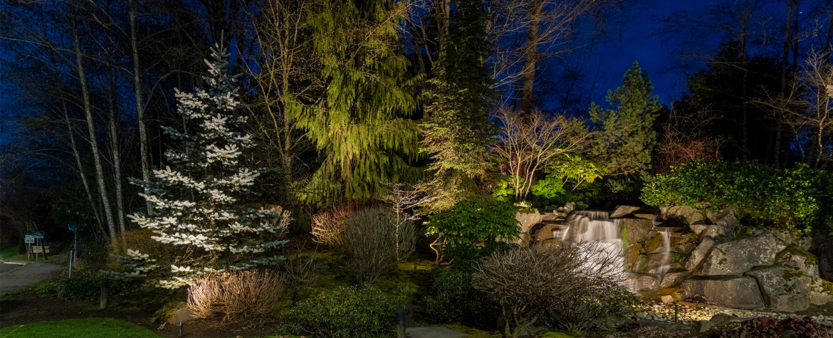 The Falls at Snomish Cascade-trees near the falls