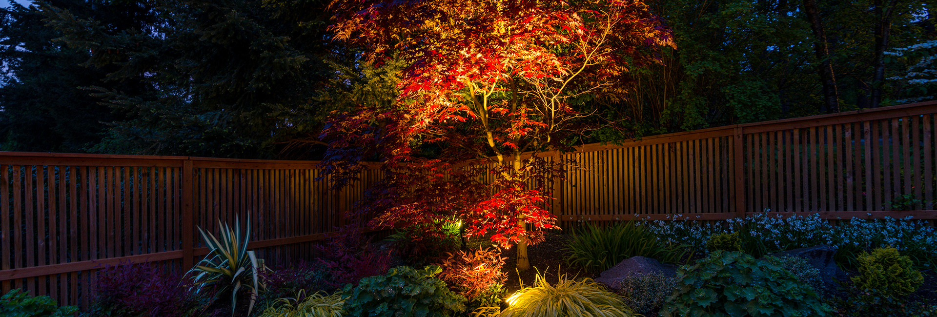 nwol-our_process-masthead