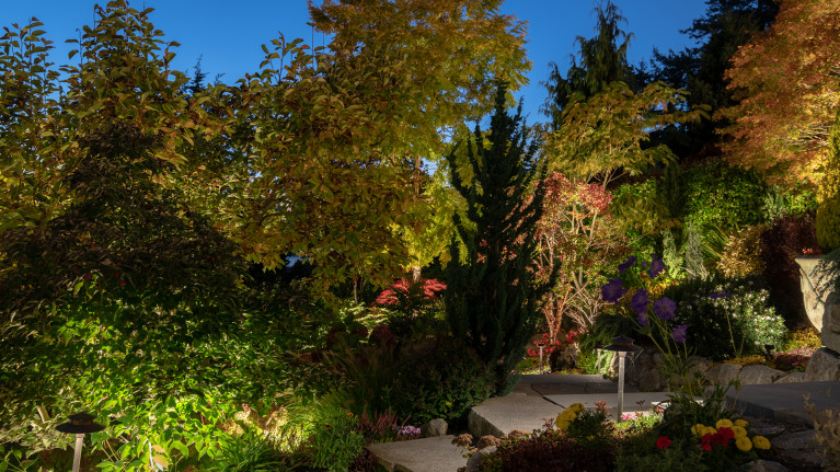 backyard lighting
