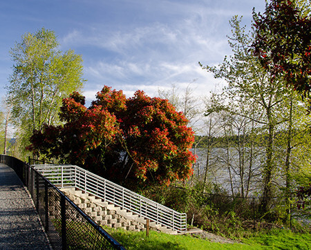 sammamish