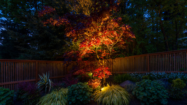 illuminated garden