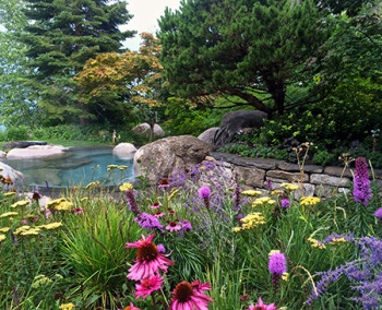 day-design-appt-card-1