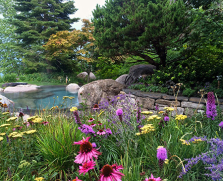 day-design-appt-card-1