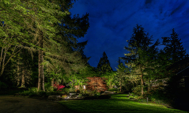 direct-light-header