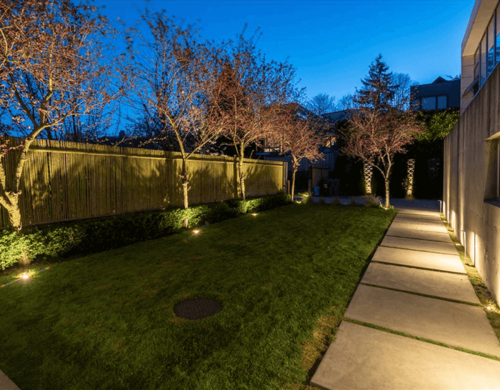 Capitol Hill Tri-Level Residence- Pathway in the lawn area
