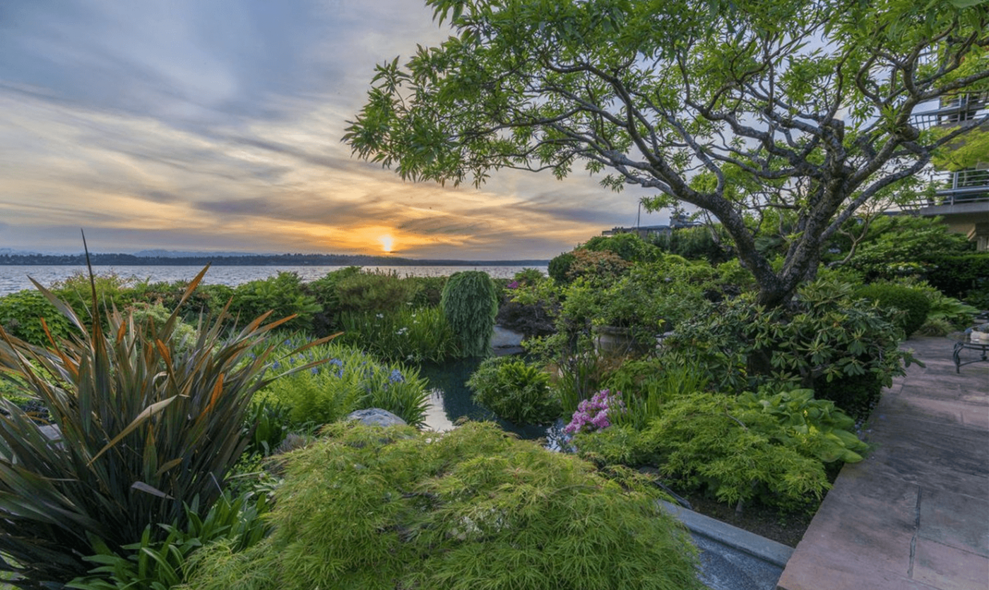 Carillon Point- tree near sea view