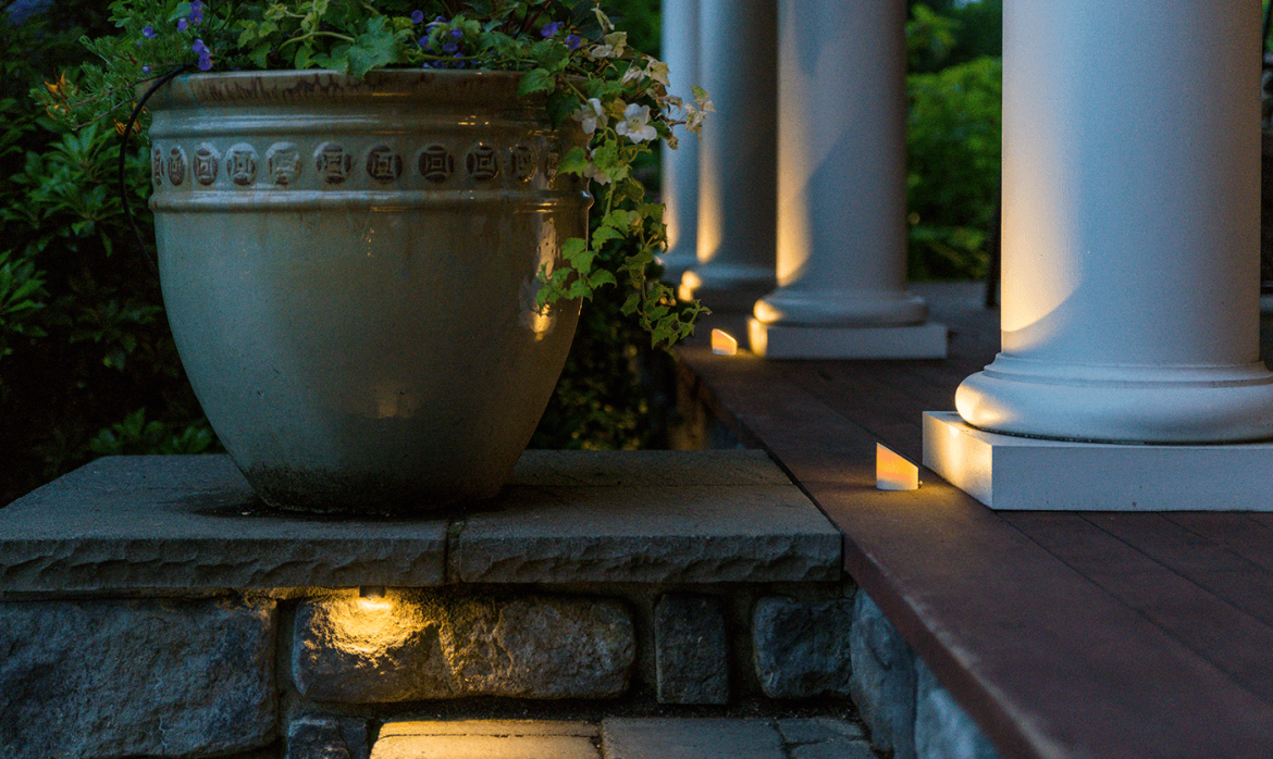 Woodinville AOLP- pot plant