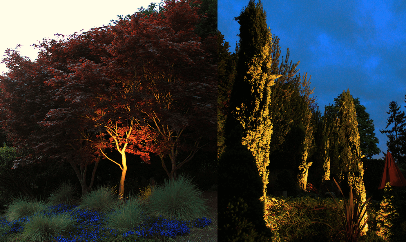 Groveland Estate- garden