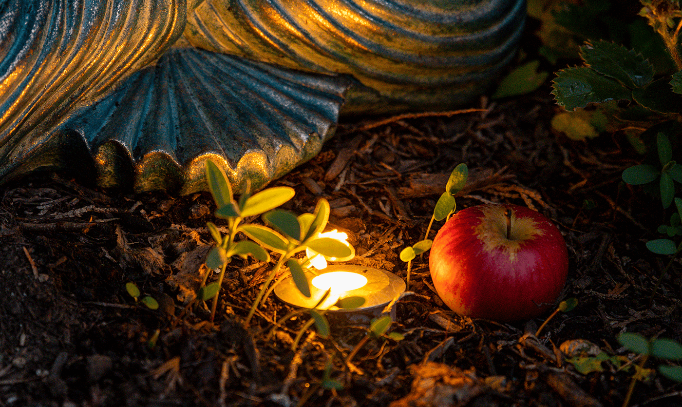 Laurelhurst property- light fixture
