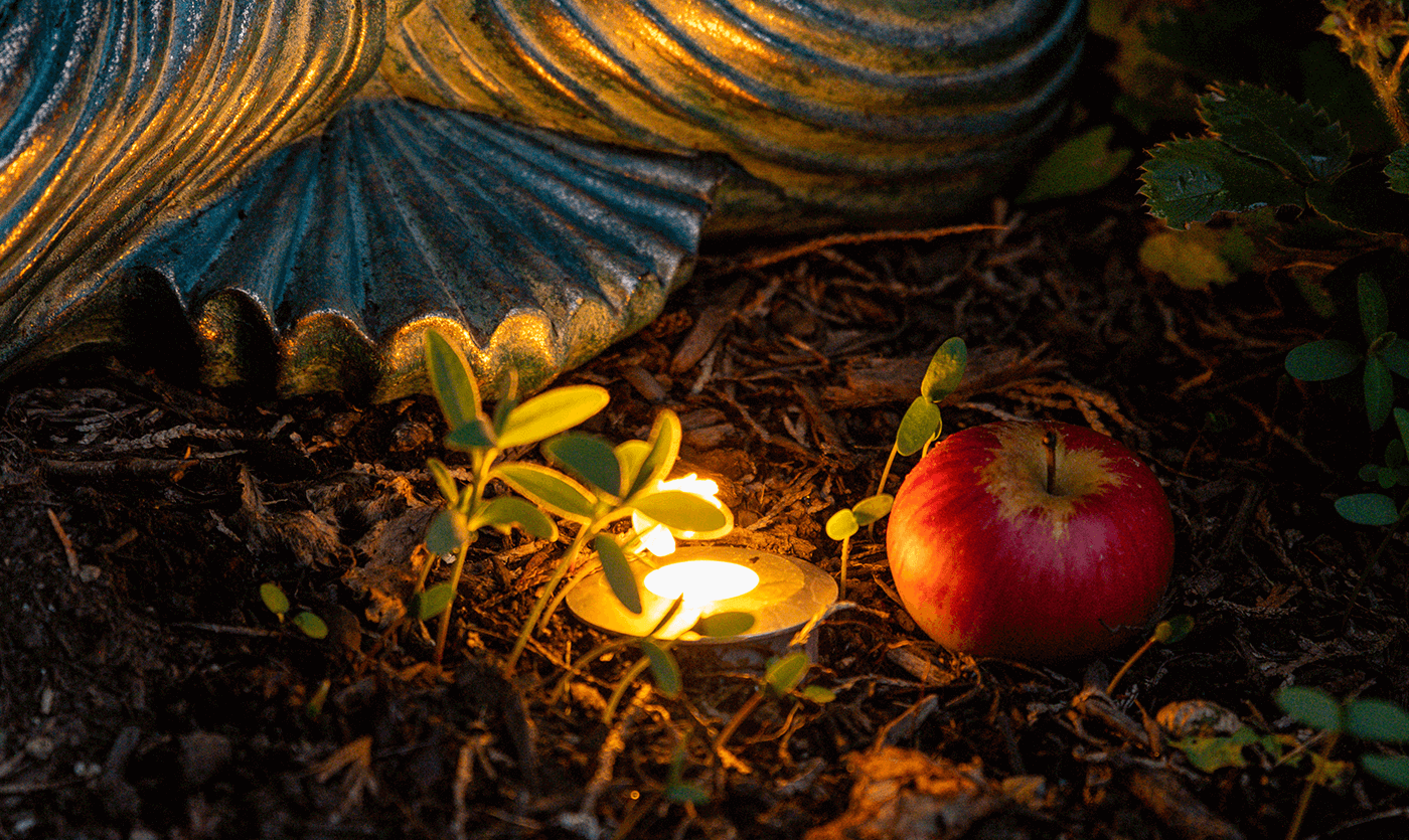 Laurelhurst property- light fixture