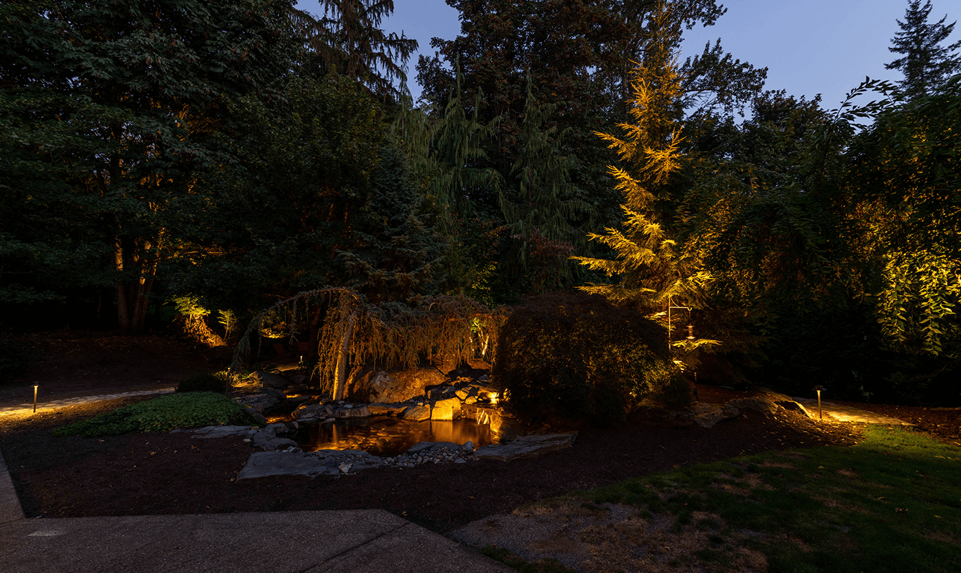 Marymoor park - pond