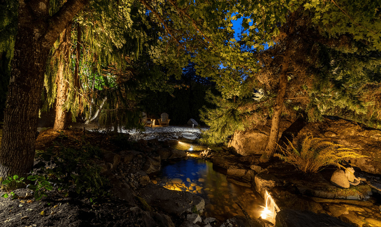 Marymoor park - trees near pond