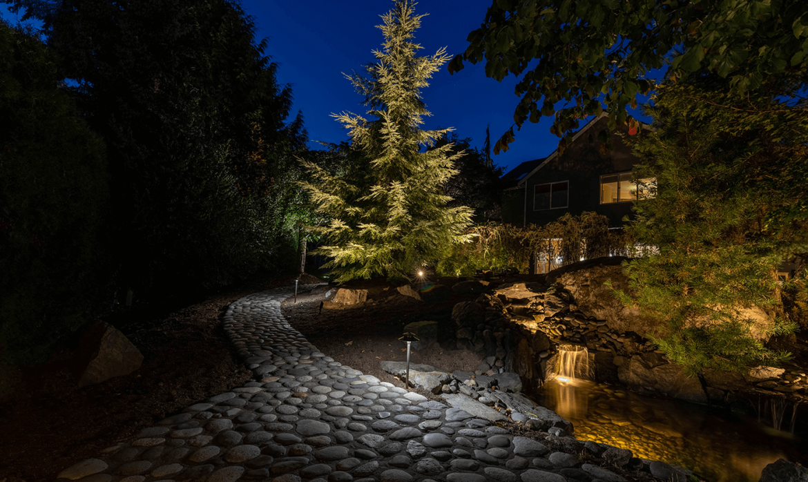 Marymoor park -pathway stone