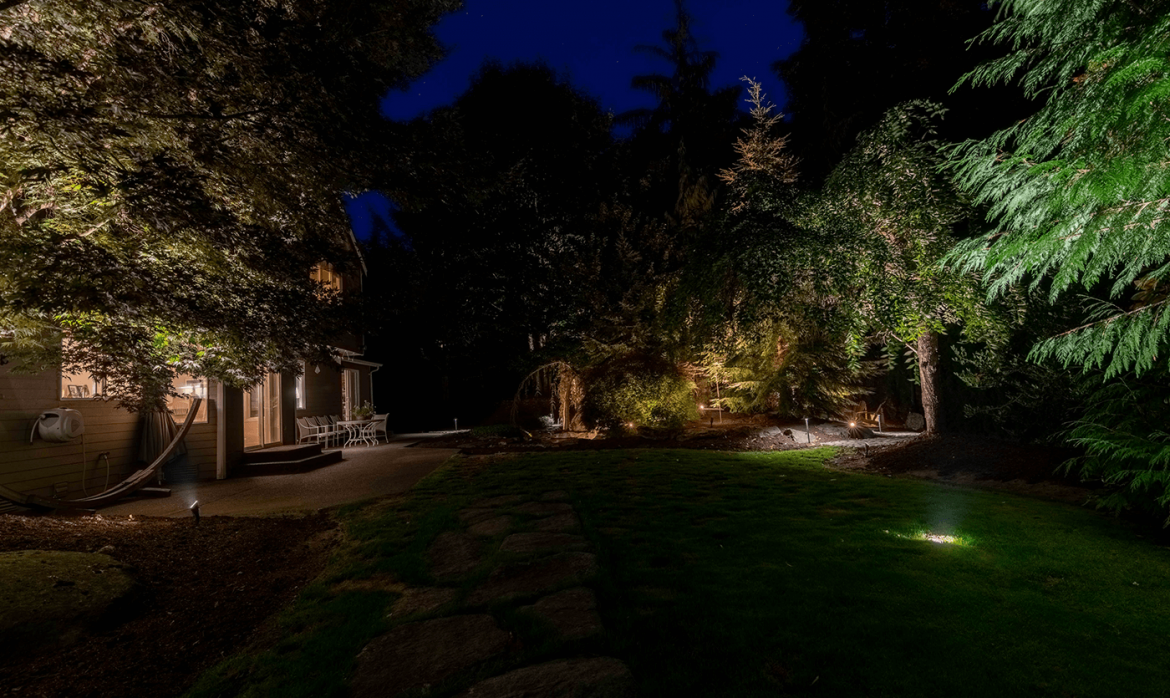 Marymoor park -back yard