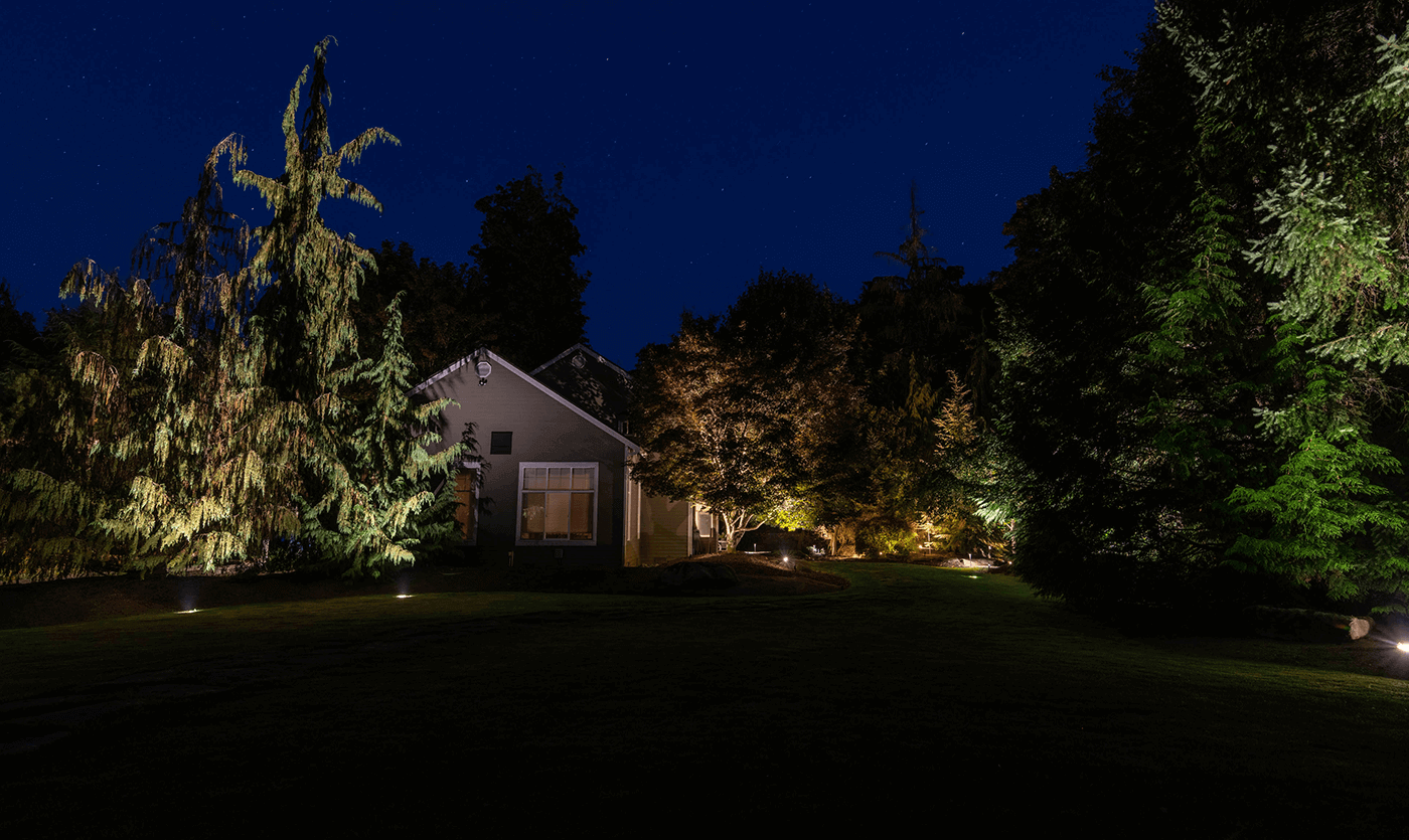 Marymoor park -lawn
