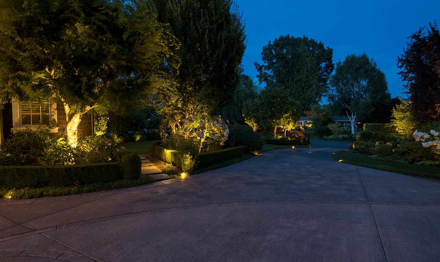 Medina Home-pathway to lawn