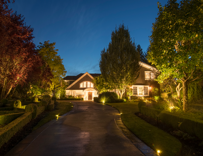 Medina Home- driveway going to the main door