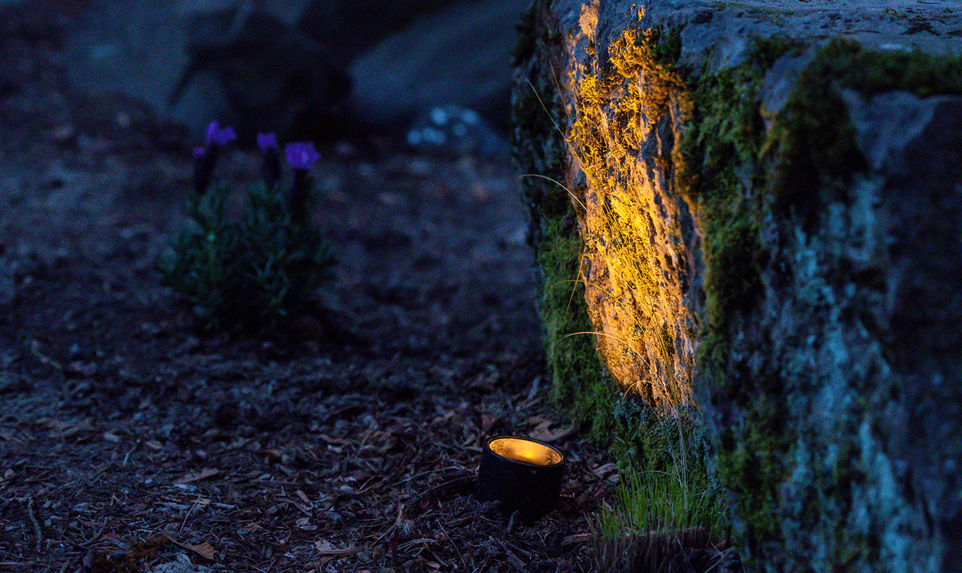 Mercer Island Mid-Center-light fixture