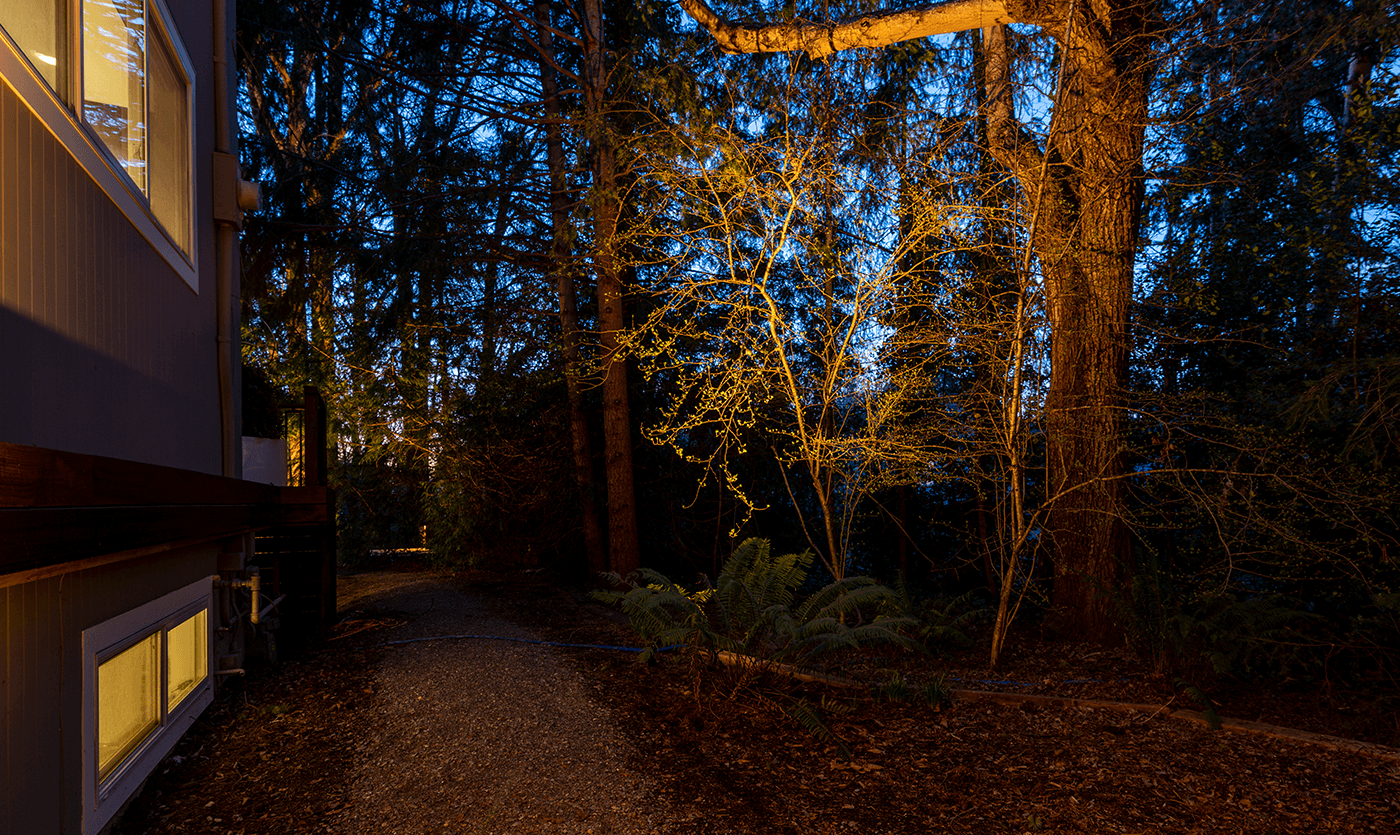 Mercer Island Mid-Center-alleyway