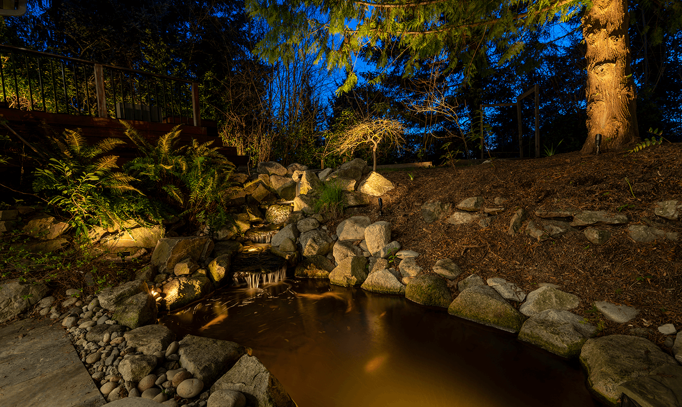 Mercer Island Mid-Center-pond