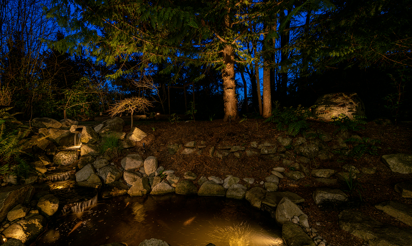 Mercer Island Mid-Center-pond in the yard