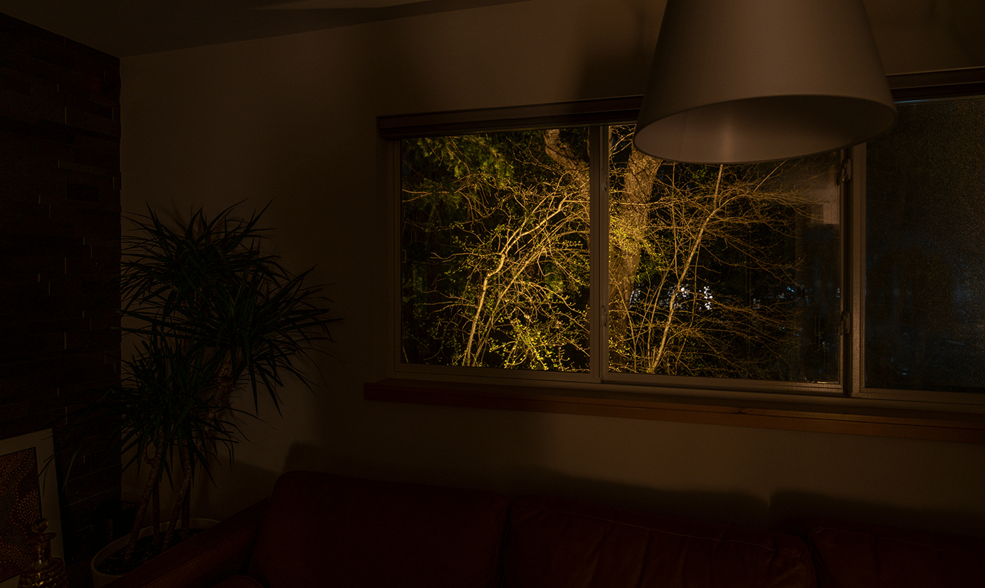 Mercer Island Mid-Center-window