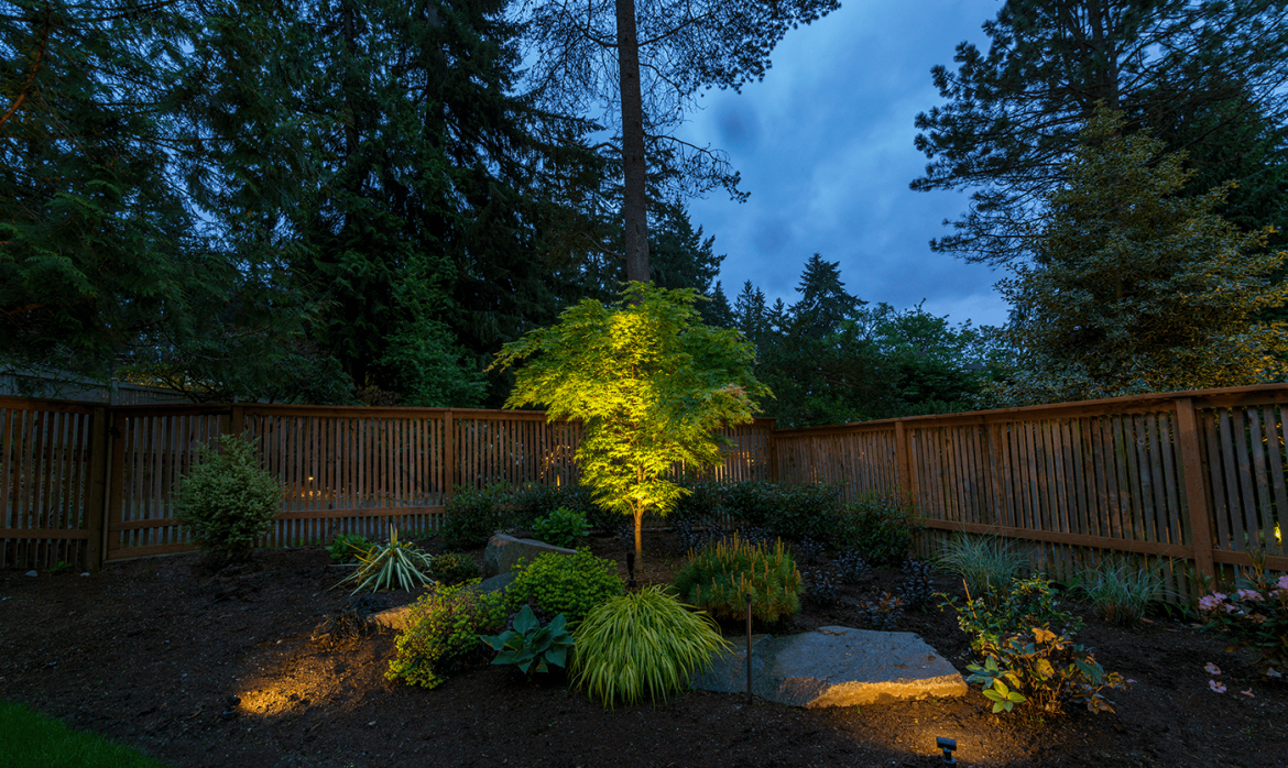 Mercer Island-garden