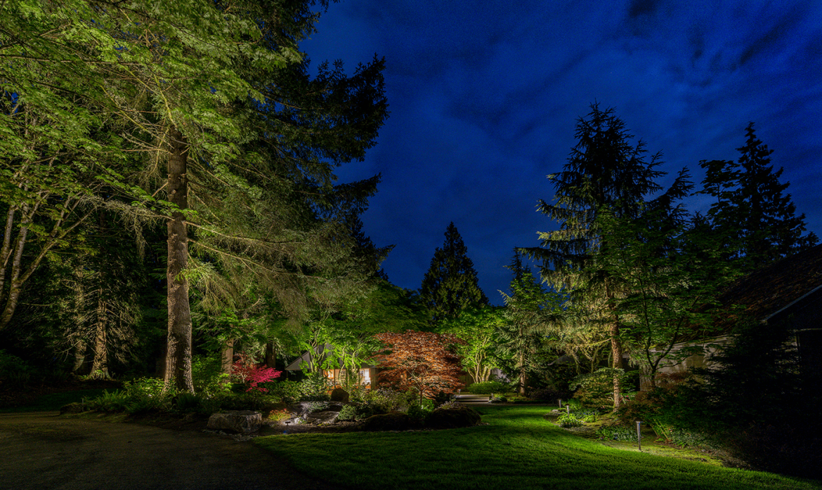 Snohomish Residence- garden