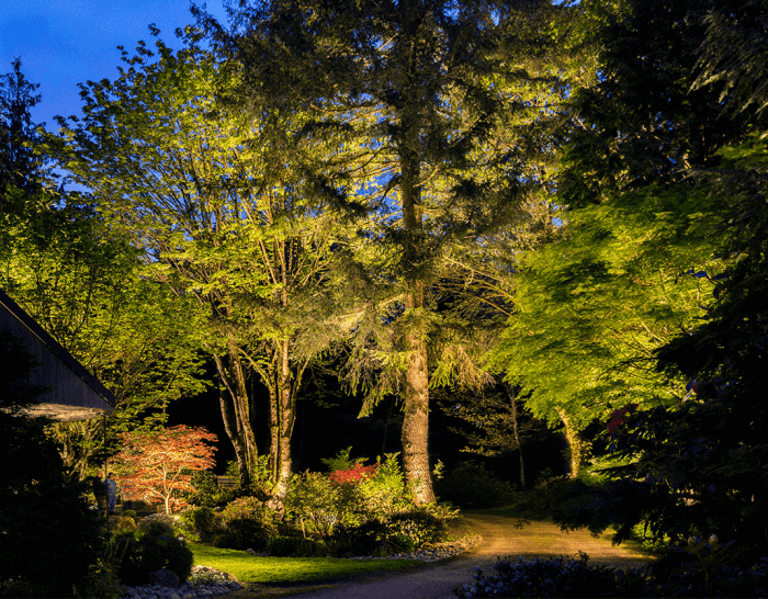Snohomish Residence-garden