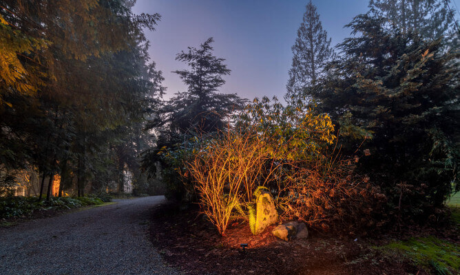 NWOL_TigerMt-3587 (1)