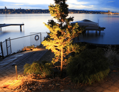 Medina waterfront- passageway to the yacht