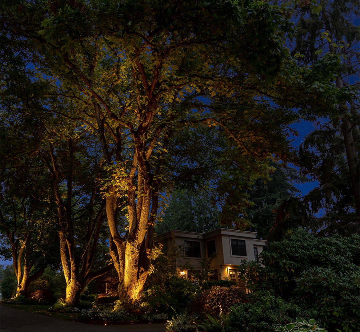 Overlake Country Club- trees