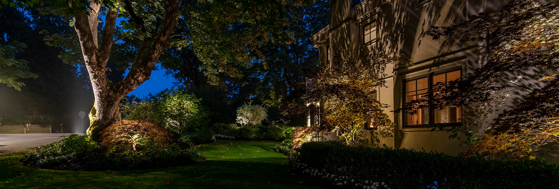 Overlake Country Club- tree on the lawn