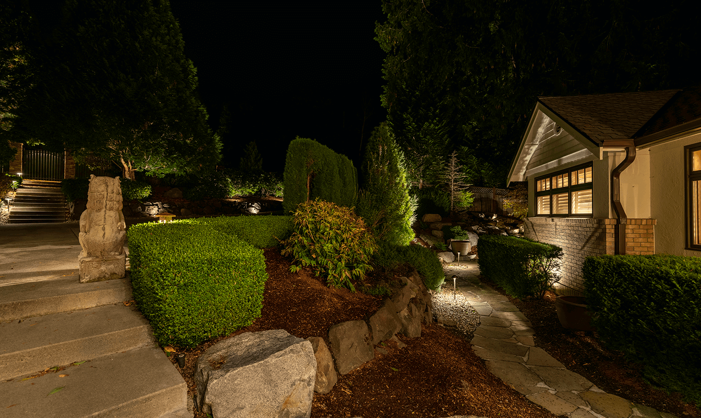 Carnation Home-steps