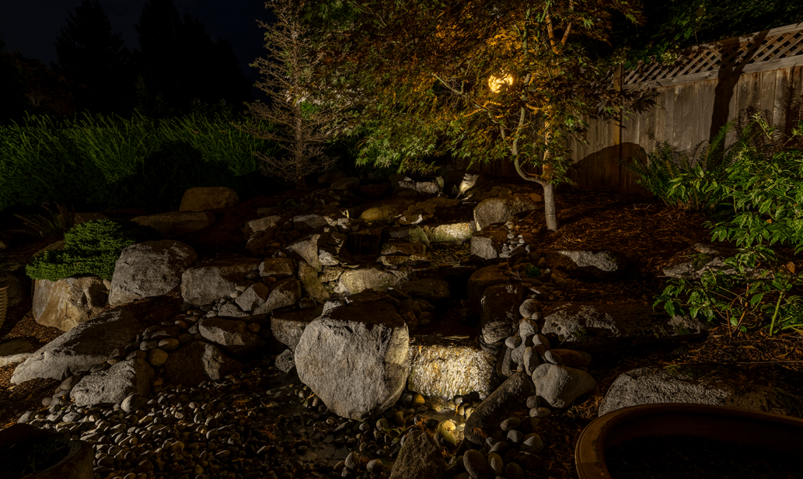 Carnation Home- rocks on the garden