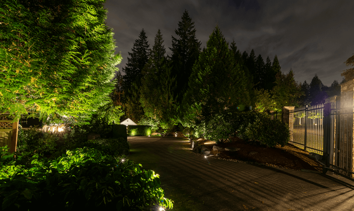 carnation-home-16