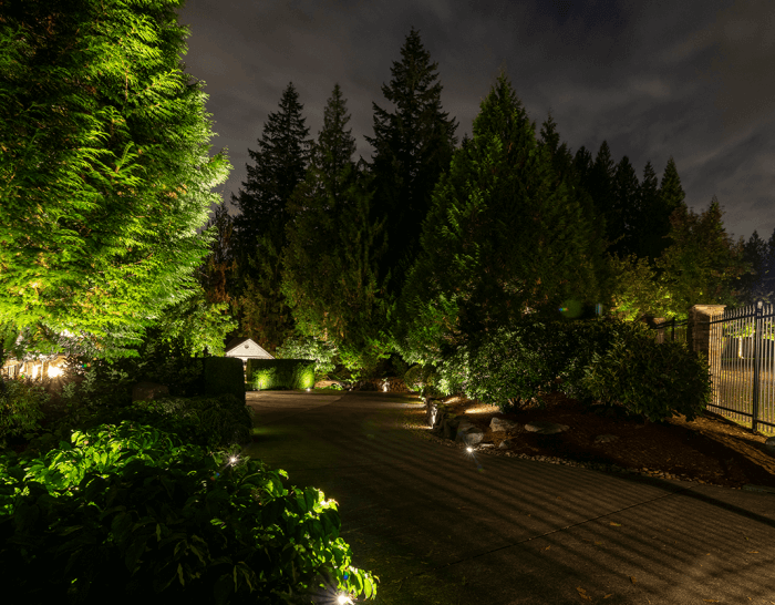 carnation-home-16
