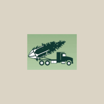 big tree