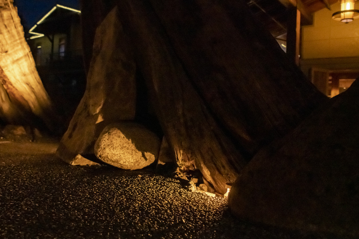 Ground-level lighting illuminating massive stag tree trunks and sculptural wood formations at Willows Lodge in Woodinville, WA.