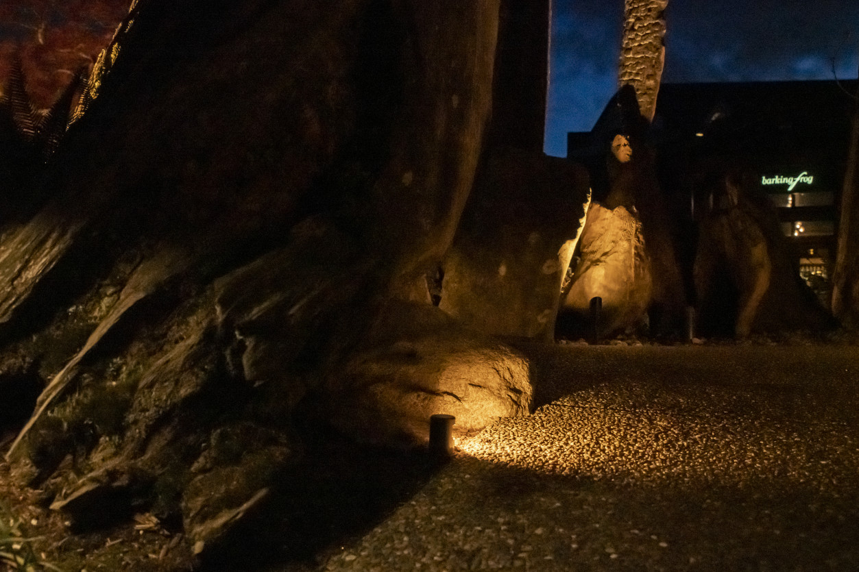 Warm LED landscape lighting highlighting dramatic stag tree trunk structures at Willows Lodge during twilight.