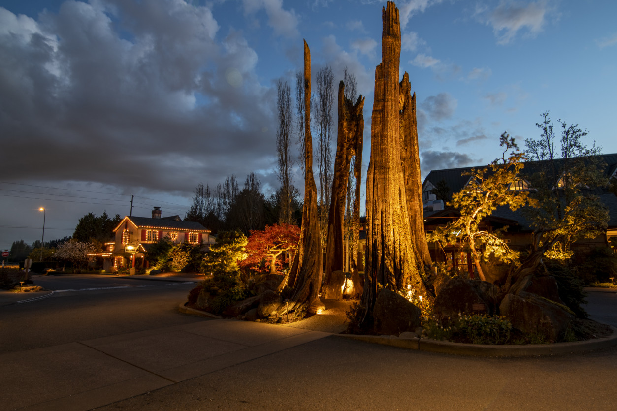 Evening view of entrance lighting installation with dramatic uplight on stag tree sculptures at Willows Lodge.